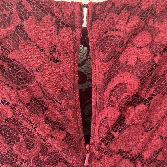 ASOS Lace Cranberry Dress - Picture 4 of 10